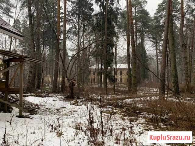 Участок ИЖС 134 сот. на продажу в Королеве Королев - изображение 3