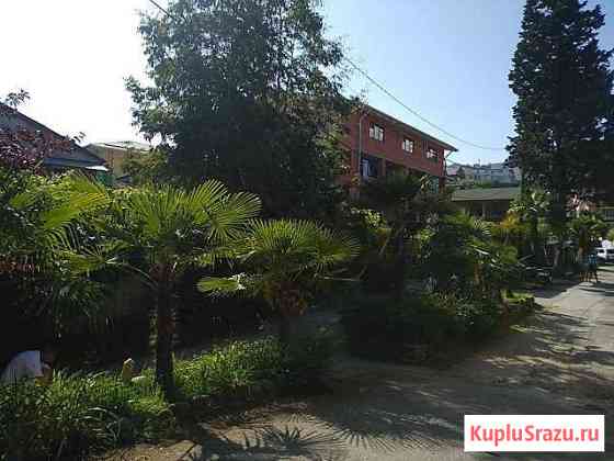Комната 24 м² в 1-ком. кв., 1/3 эт. в аренду посуточно в Сочи Сочи