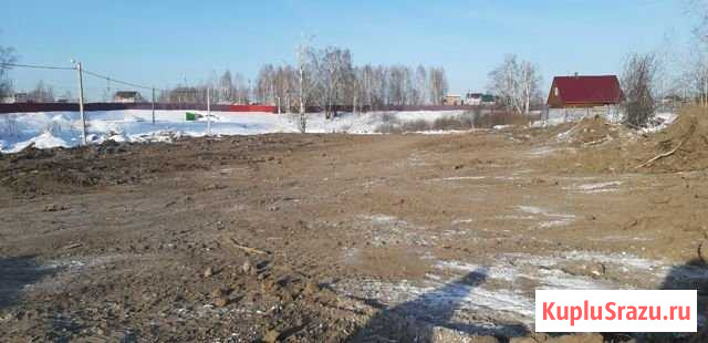 Участок СНТ, ДНП 10 сот. на продажу в Новосибирске Новосибирск - изображение 1