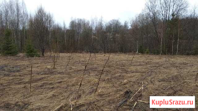 Участок ИЖС 15 сот. на продажу в Валдае Валдай - изображение 3