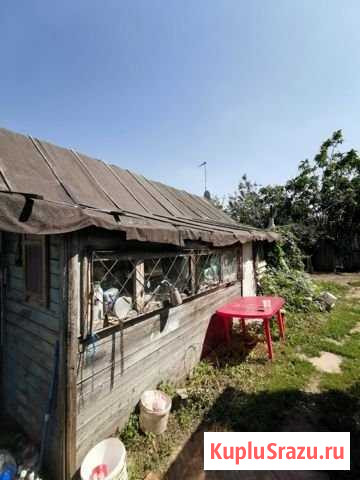 Дача 30 м² на участке 4 сот. на продажу в Балаково Балаково - изображение 2