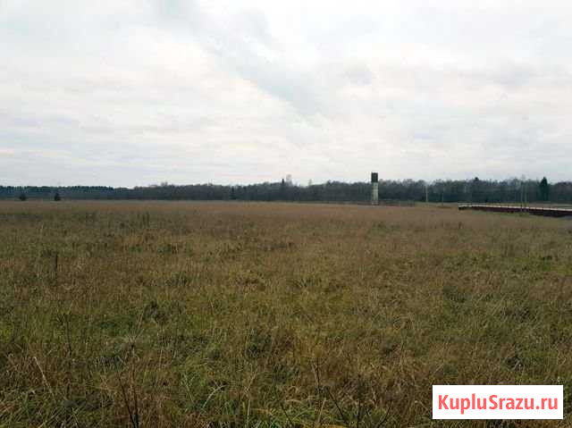 Участок СНТ, ДНП 17 сот. на продажу в Дружной Горке Дружная Горка - изображение 2
