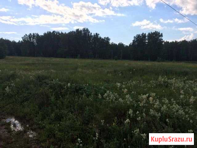 Участок ИЖС 17 сот. на продажу в Каменске-Уральском Каменск-Уральский - изображение 3