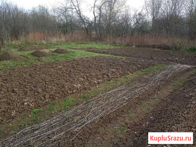 Дача 20 м² на участке 6 сот. на продажу в Алексине Алексин - изображение 3
