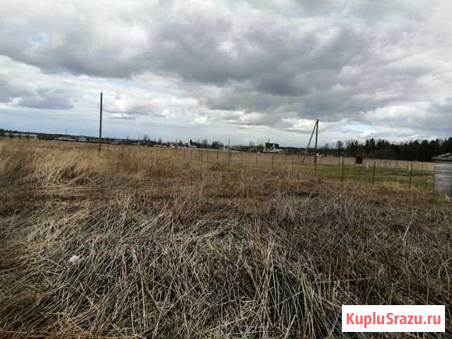 Участок СНТ, ДНП 12 сот. на продажу в Кипене Кипень - изображение 3