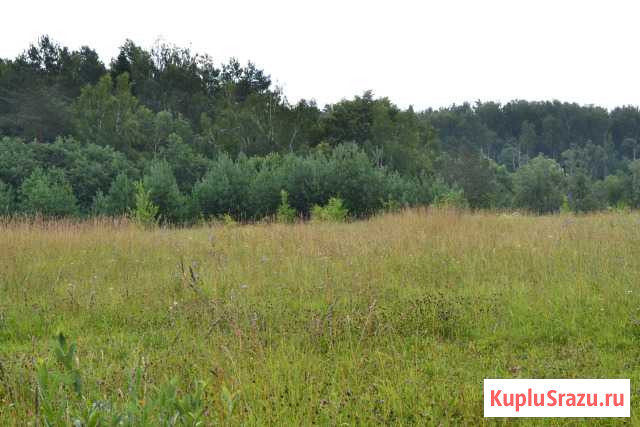 Участок ИЖС 25 сот. на продажу в Боровске Боровск - изображение 2