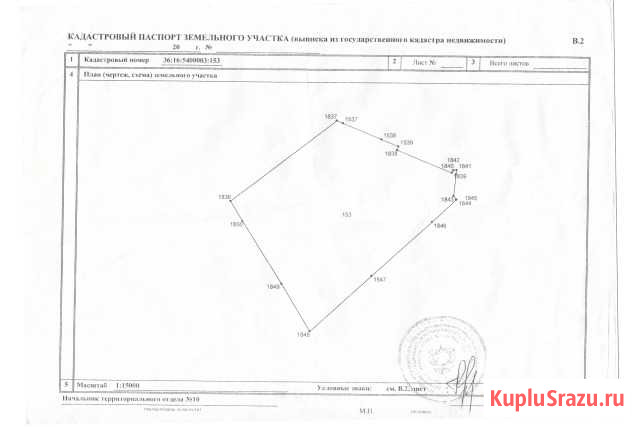 Участок СНТ, ДНП 13900 сот. на продажу в Новой Усмани Новая Усмань - изображение 2