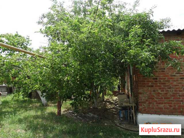 Дом 80 м² на участке 11 сот. на продажу в Романовской Романовская - изображение 3