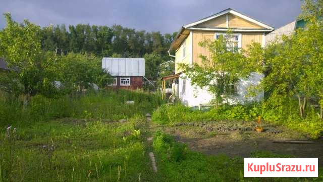 Дача 30 м² на участке 3 сот. на продажу в Чебоксарах Чебоксары - изображение 1