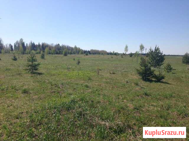 Участок ИЖС 10 сот. на продажу в Кирове Киров - изображение 2