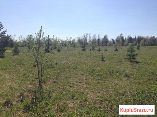 Участок ИЖС 10 сот. на продажу в Кирове Киров - изображение 3