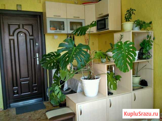 Комната 13 м² в 1-ком. кв., 7/9 эт. на продажу в Ижевске Ижевск - изображение 1