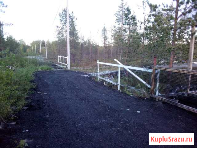 Участок СНТ, ДНП 11 сот. на продажу в Катунино Катунино - изображение 2