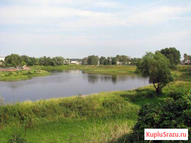 Участок ИЖС 600 сот. на продажу в Селижарово Селижарово - изображение 2