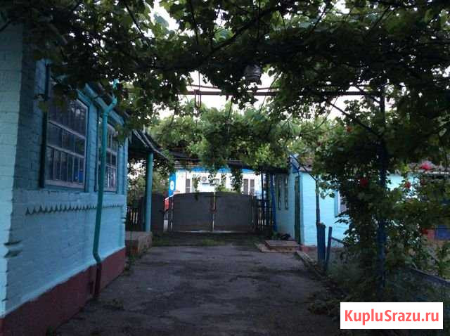 Дом 51 м² на участке 32 сот. на продажу в Петровской Петровская - изображение 3
