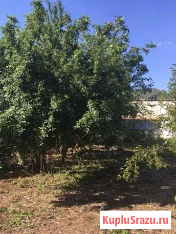 Участок ИЖС 6 сот. на продажу в Яксатово Яксатово - изображение 2