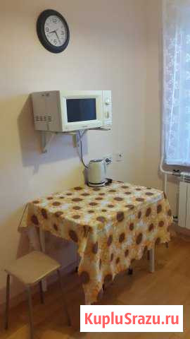 1-комнатная квартира, 33.5 м², 3/10 эт. в аренду на длительный срок в Екатеринбурге Екатеринбург - изображение 3