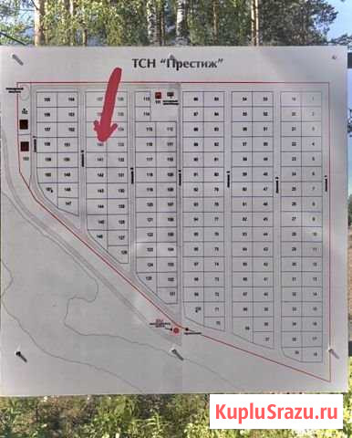 Участок ИЖС 10 сот. на продажу в Сосновом Бору Сосновый Бор - изображение 3