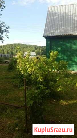Дом 60 м² на участке 35 сот. на продажу в Новосибирске Новосибирск - изображение 3