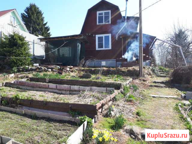 Дача 60 м² на участке 6 сот. на продажу в Первомайском Ленинградской области Первомайское - изображение 1