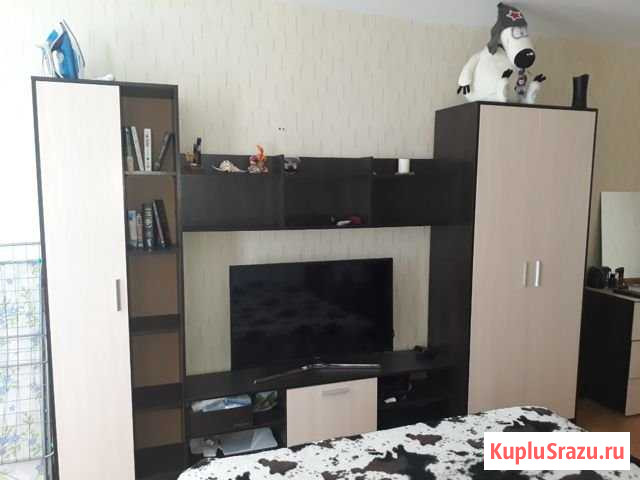 1-комнатная квартира, 41.2 м², 5/17 эт. на продажу в Нижнем Новгороде Нижний Новгород - изображение 2