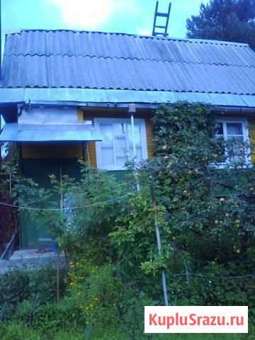 Дача 48 м² на участке 12 сот. на продажу в Мге Мга - изображение 3