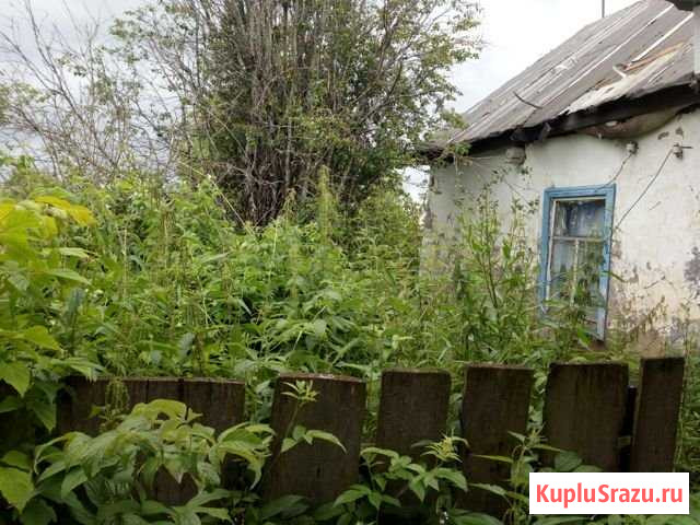 Дом 48 м² на участке 12 сот. на продажу в Полазне Полазна - изображение 1