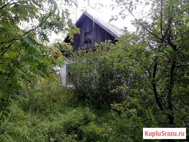 Дом 48 м² на участке 12 сот. на продажу в Полазне Полазна - изображение 2