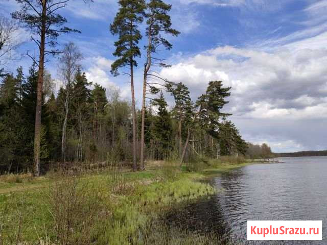 Участок ИЖС 37 сот. на продажу в Красной Долине Красная Долина - изображение 2