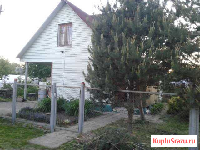 Дача 50 м² на участке 5 сот. на продажу в Смоленске Смоленск - изображение 1