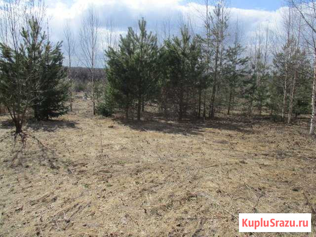 Участок ИЖС 23 сот. на продажу в Кирове Киров - изображение 2