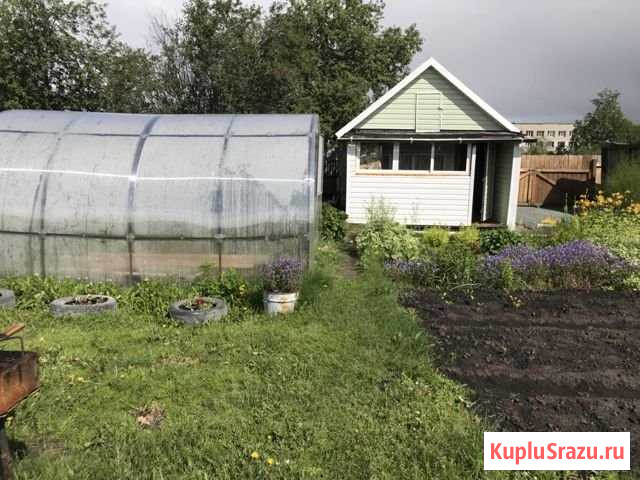Дача 30 м² на участке 6 сот. на продажу в Мошково Мошково - изображение 3