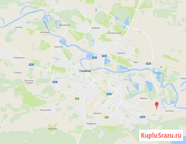 Участок СНТ, ДНП 106 сот. на продажу в Тюмени Тюмень - изображение 2