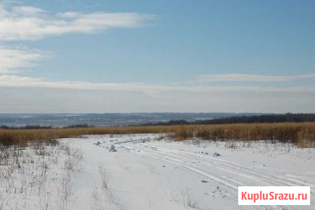 Участок ИЖС 40 сот. на продажу в Кашире Кашира - изображение 3