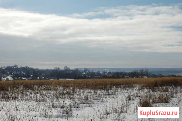 Участок ИЖС 40 сот. на продажу в Кашире Кашира - изображение 2