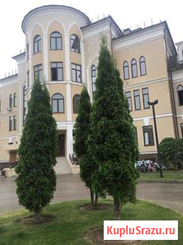 Квартира-студия, 31 м², 3/4 эт. на продажу в Павловской Слободе Павловская Слобода - изображение 1
