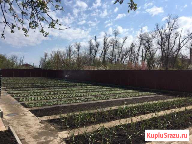 Дача 68 м² на участке 18 сот. на продажу в Краснодаре Краснодар - изображение 2