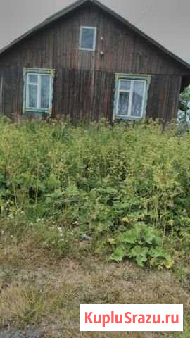 Дом 61 м² на участке 10 сот. на продажу в Иваново Иваново - изображение 2