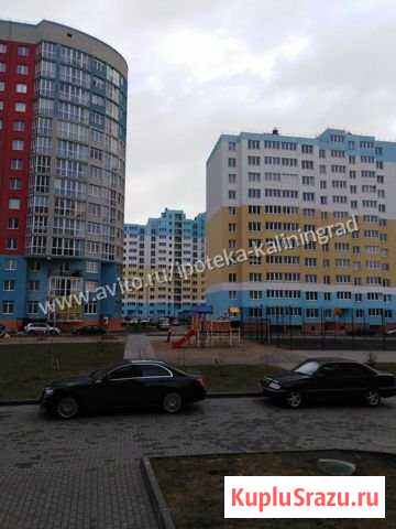 1-комнатная квартира, 44.2 м², 10/12 эт. на продажу в Калининграде Калининград - изображение 3