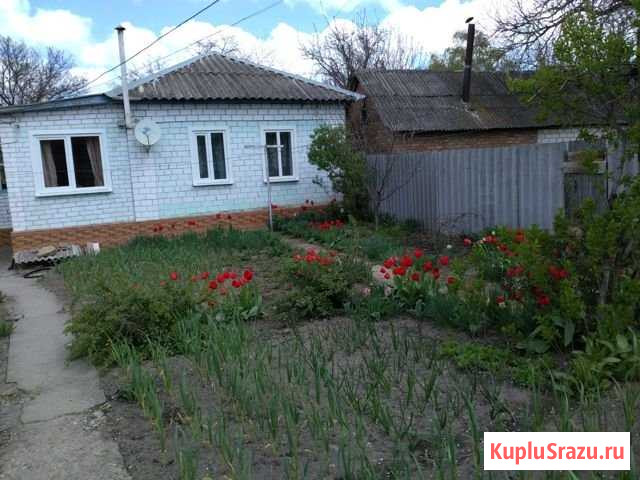 Дом 95 м² на участке 8 сот. на продажу в Александровском Ставропольского края Александровское - изображение 3
