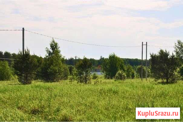 Участок ИЖС 6 сот. на продажу в Больших Дворах Большие Дворы - изображение 2