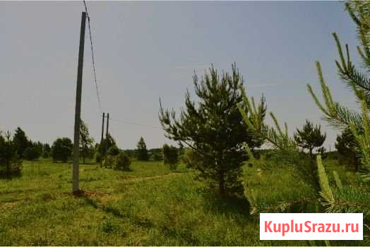 Участок ИЖС 6 сот. на продажу в Больших Дворах Большие Дворы - изображение 3