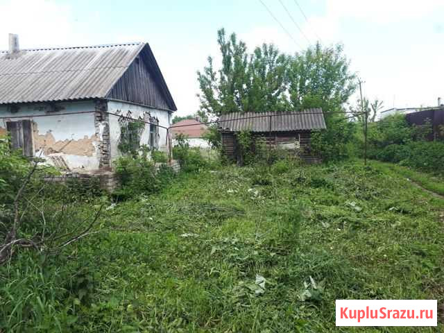Дом 45 м² на участке 12 сот. на продажу в Тербунах Тербуны - изображение 2