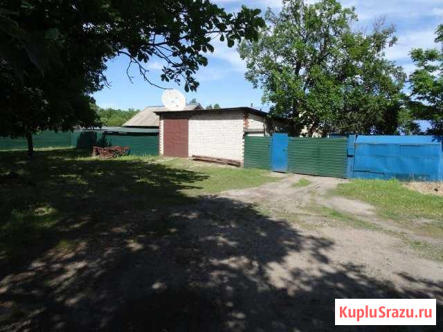 Дом 66 м² на участке 22 сот. на продажу в Благовещенске Амурской области Благовещенск - изображение 1