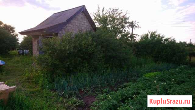 Дача 20 м² на участке 14 сот. на продажу в Набережных Челнах Набережные Челны - изображение 2