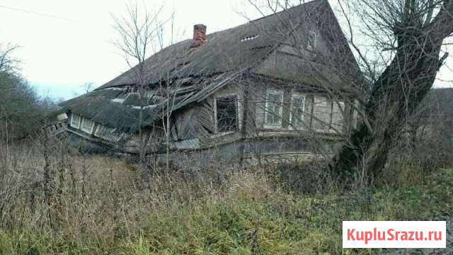 Участок СНТ, ДНП 30 сот. на продажу в Шимске Шимск - изображение 3
