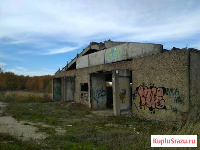 Коровник Михнево - изображение 3