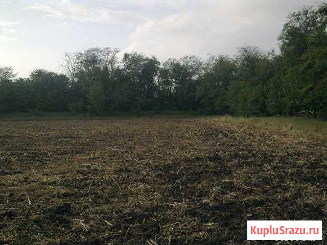 Участок СНТ, ДНП 200 сот. на продажу в Краснодаре Краснодар - изображение 3