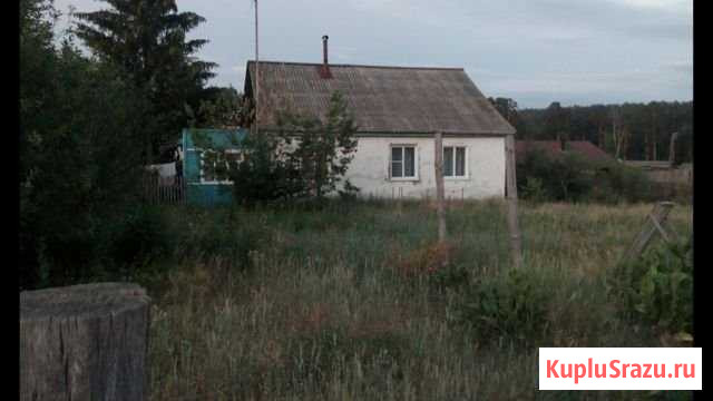 Дом 86 м² на участке 40 сот. на продажу в Барыше Барыш - изображение 3