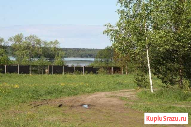 Коттедж 140 м² на участке 250 сот. в аренду посуточно в Санкт-Петербурге Санкт-Петербург - изображение 3